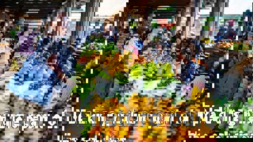 Making nature part of the solution